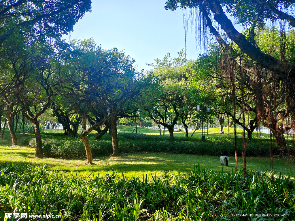 美丽城市公园环境