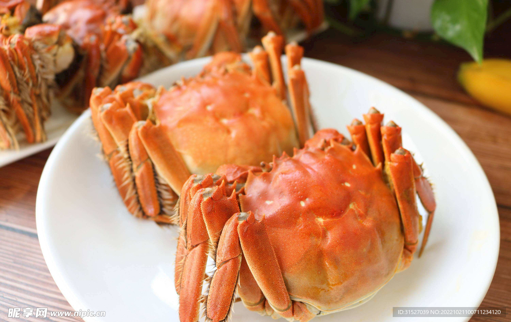 盘子里的大闸蟹摄影素材