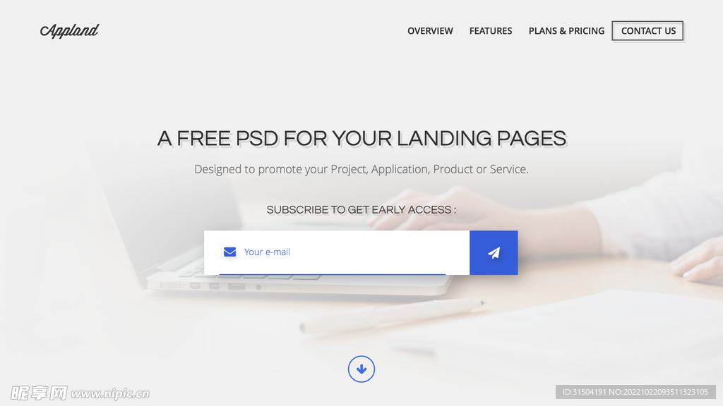 首页搜索大气网站