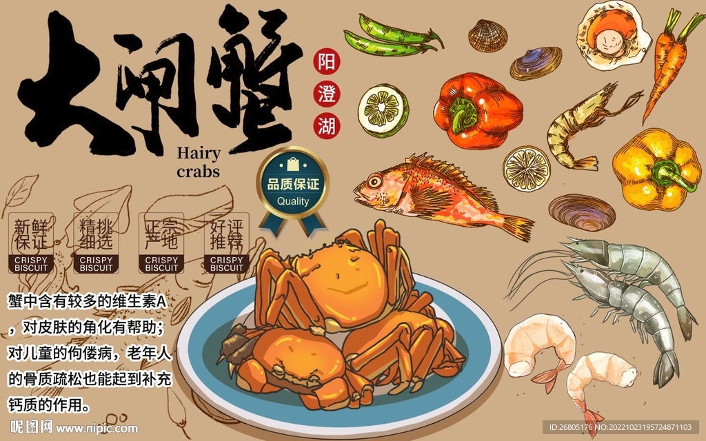 最新大闸蟹背景墙PSD模板下载