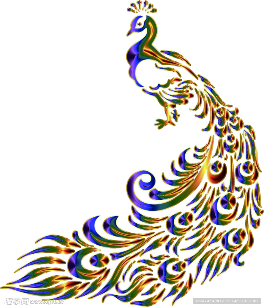 孔雀卡通矢量素材插画图片