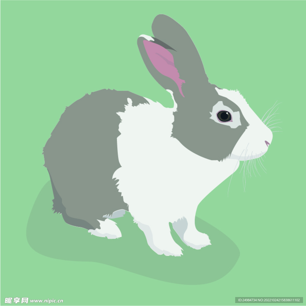 兔子卡通矢量素材插画