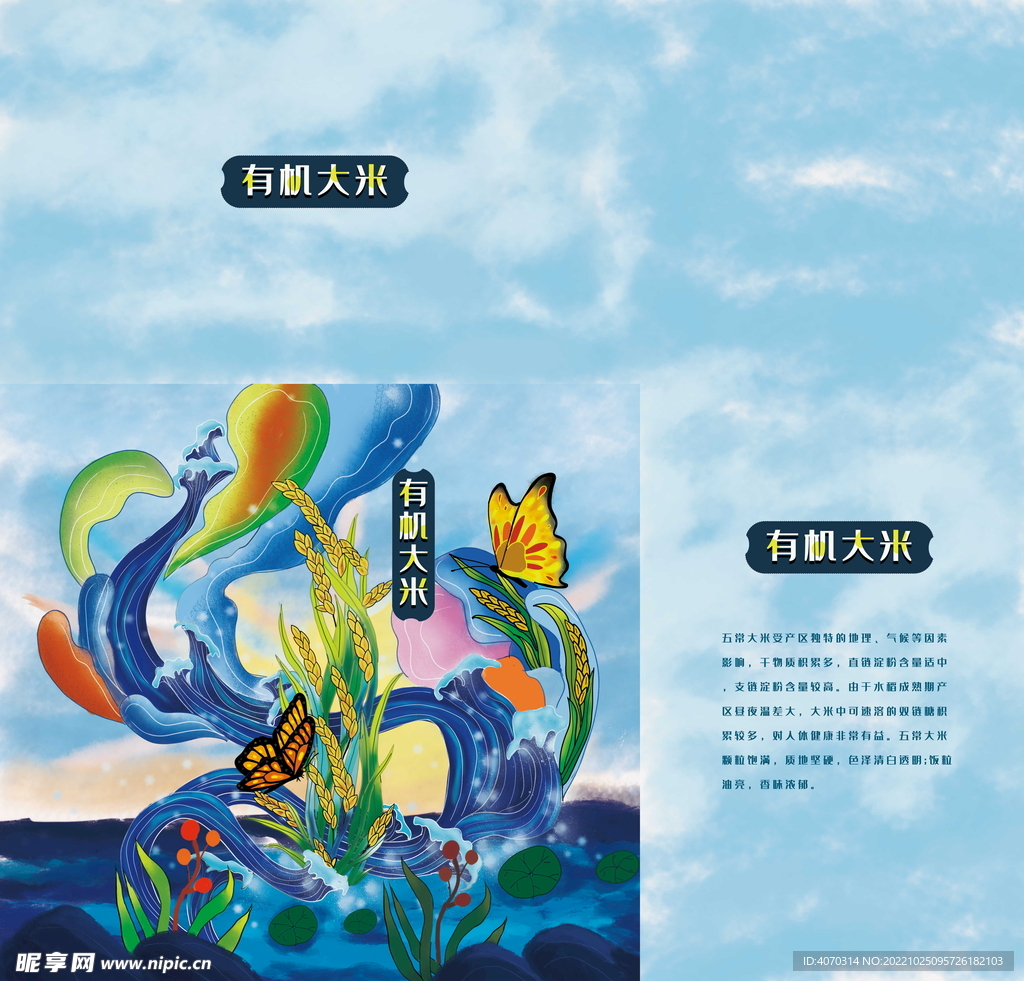 插画有机大米包装礼盒