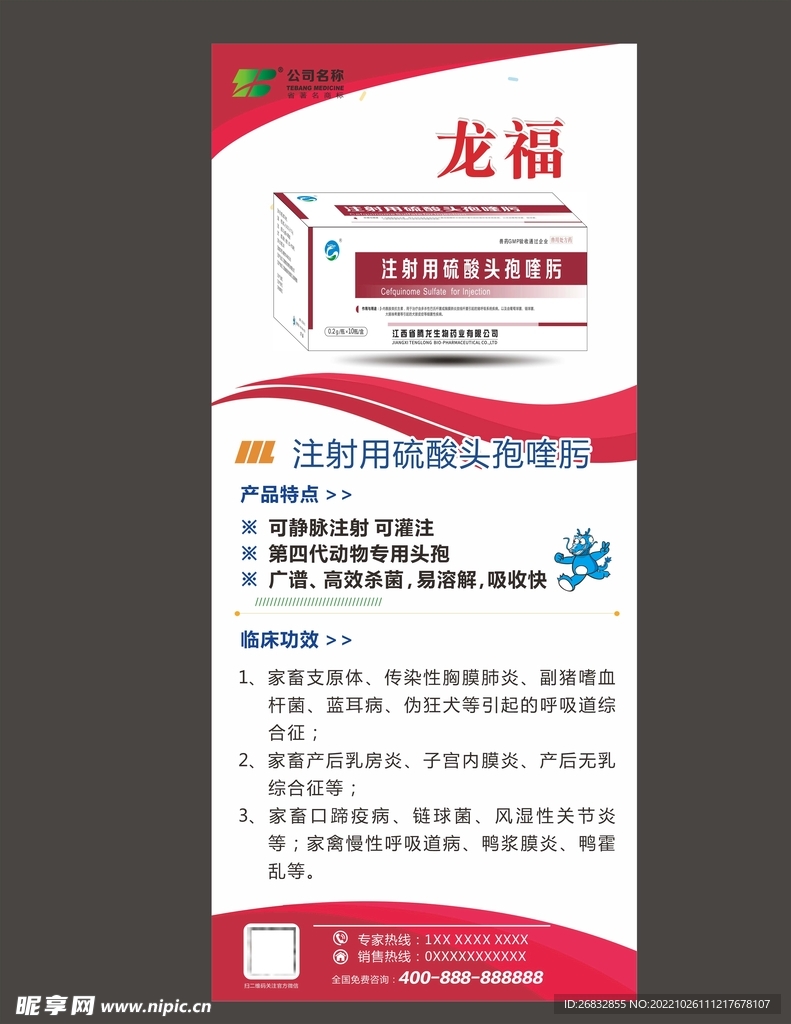  宣传单易拉宝矢量