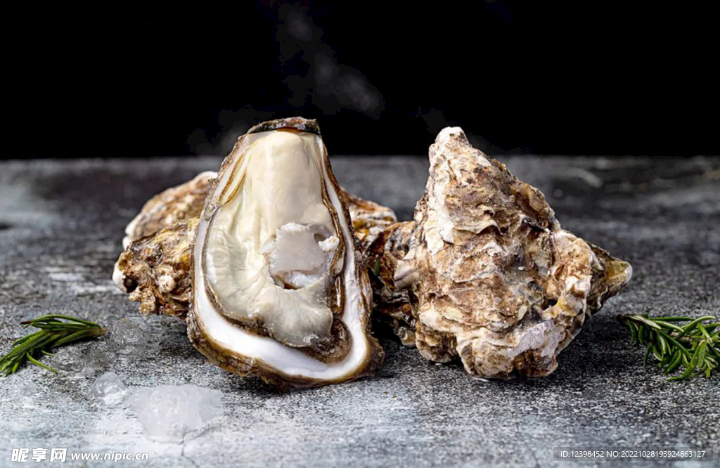 生蚝