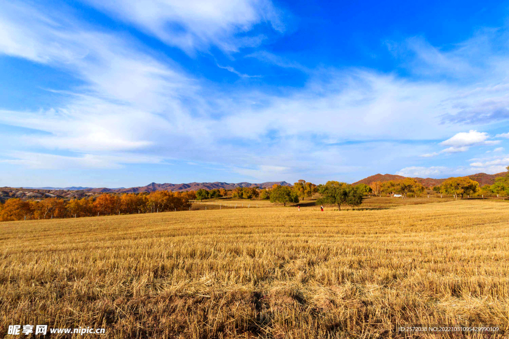 内蒙乌兰布统草原
