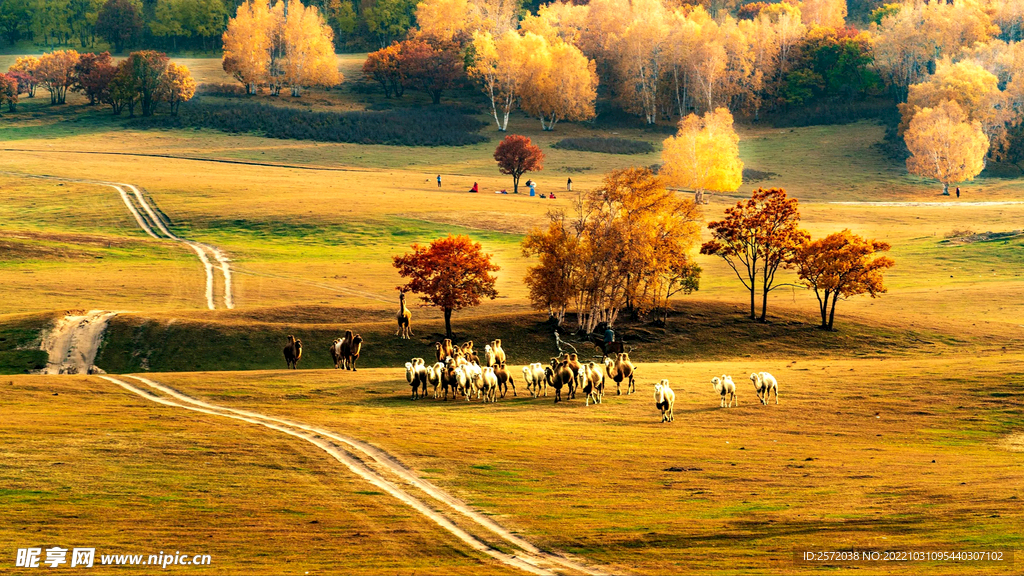 内蒙乌兰布统草原
