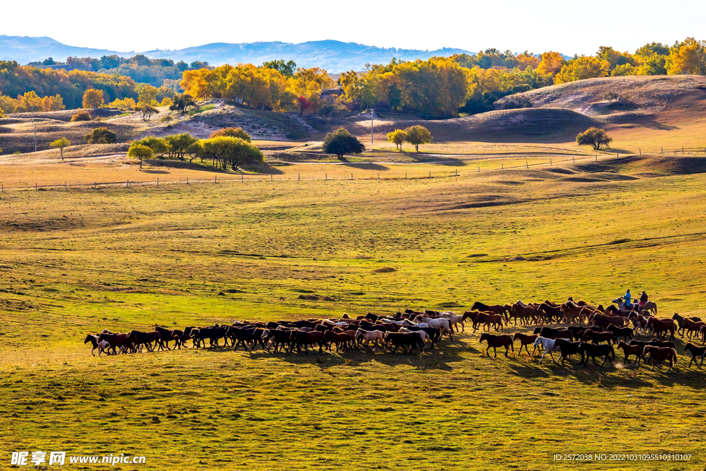 内蒙乌兰布统草原