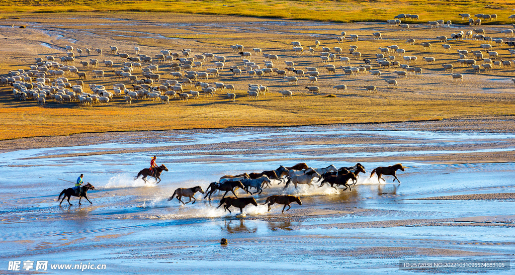 内蒙乌兰布统草原