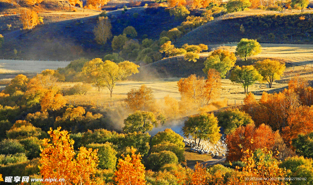 内蒙乌兰布统草原