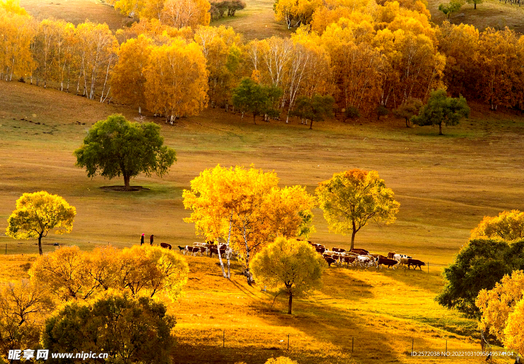 内蒙乌兰布统草原