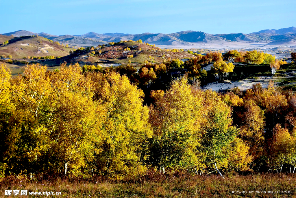 内蒙乌兰布统草原