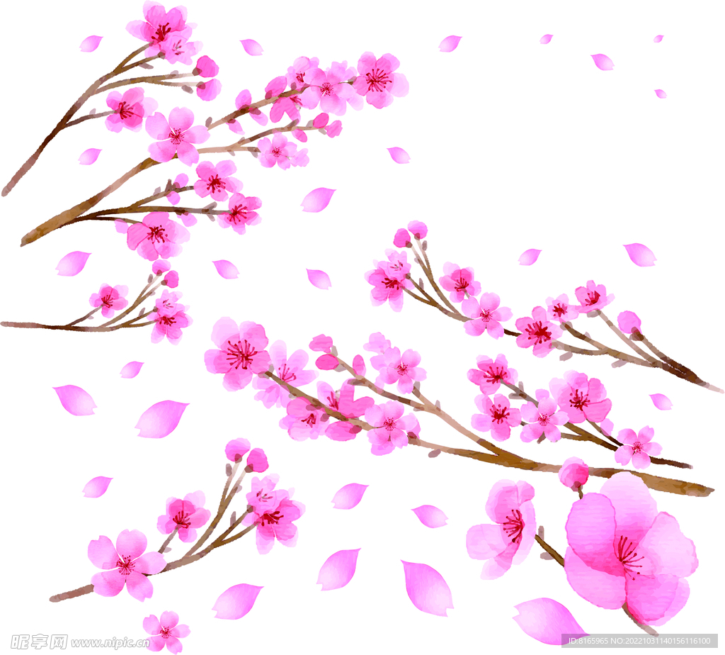 樱花素材（内含PS图）