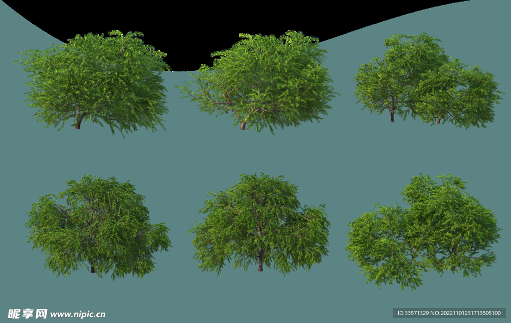 园林景观树超清免抠
