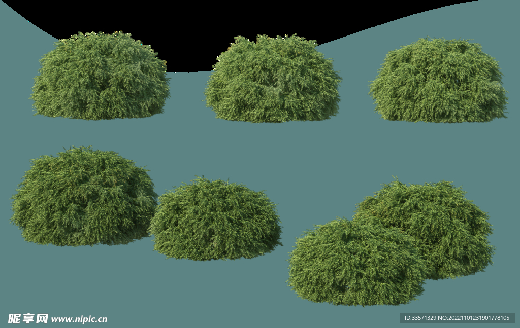 园林景观树超清免抠素材