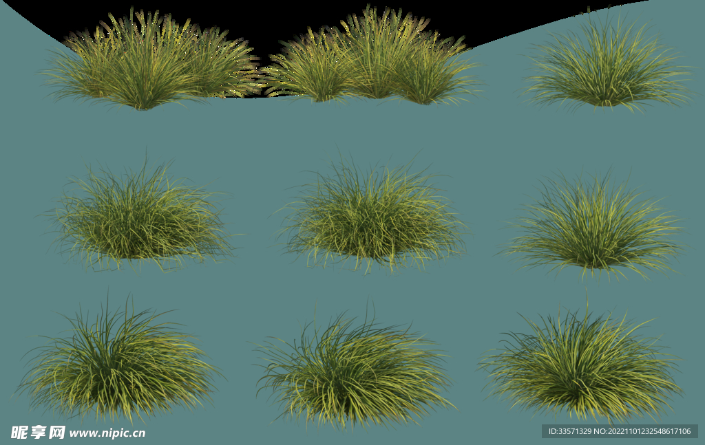 园林景观草丛超清免抠