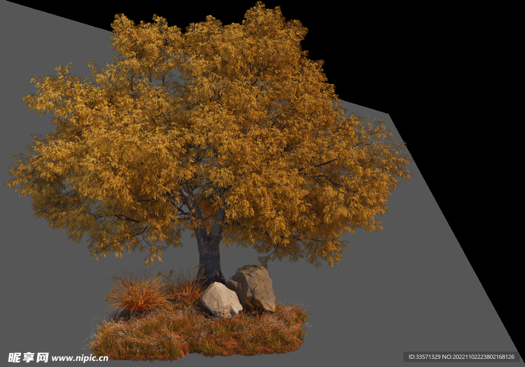 园林景观树超清晰免抠