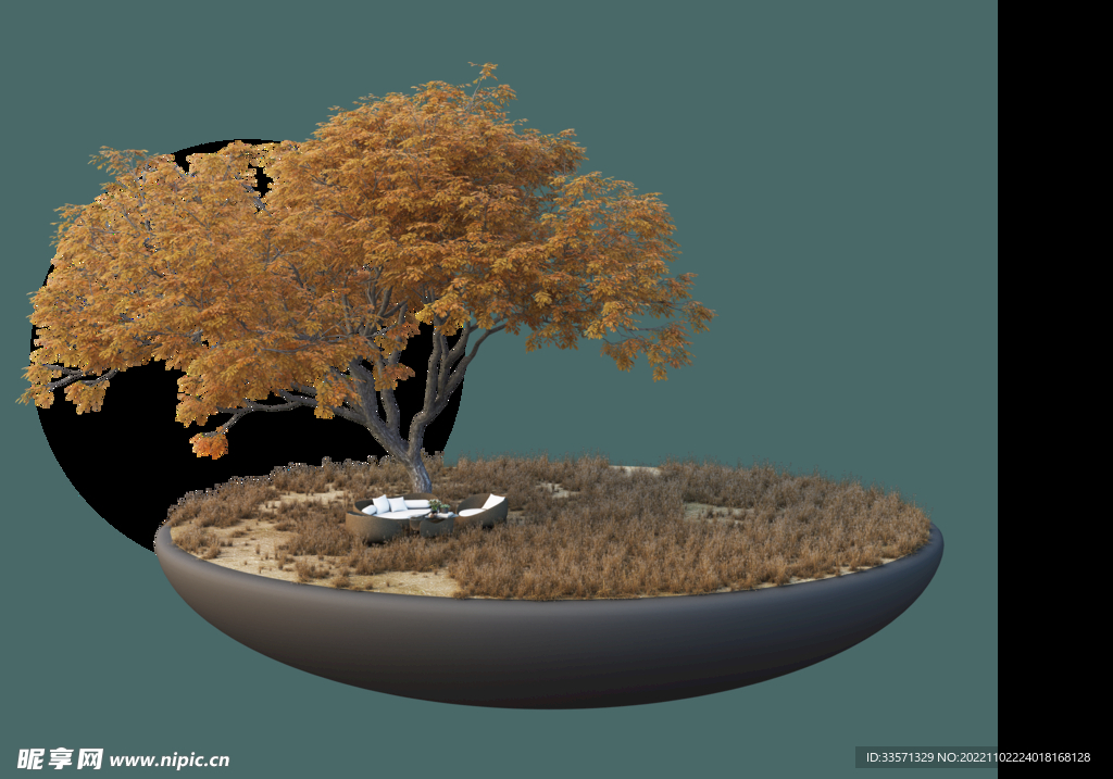 园林景观树超清晰免抠圆形