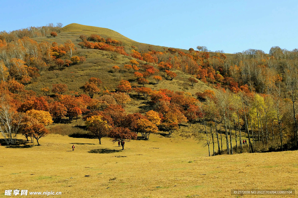 内蒙乌兰布统草原