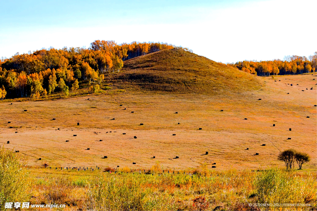 内蒙乌兰布统草原