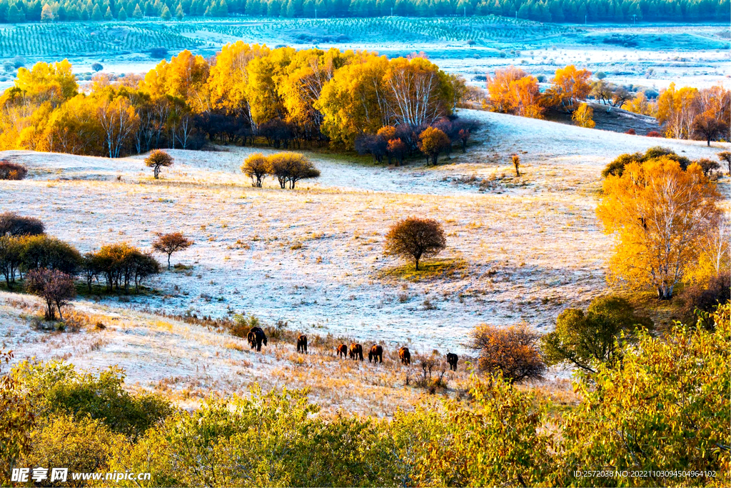 内蒙乌兰布统草原