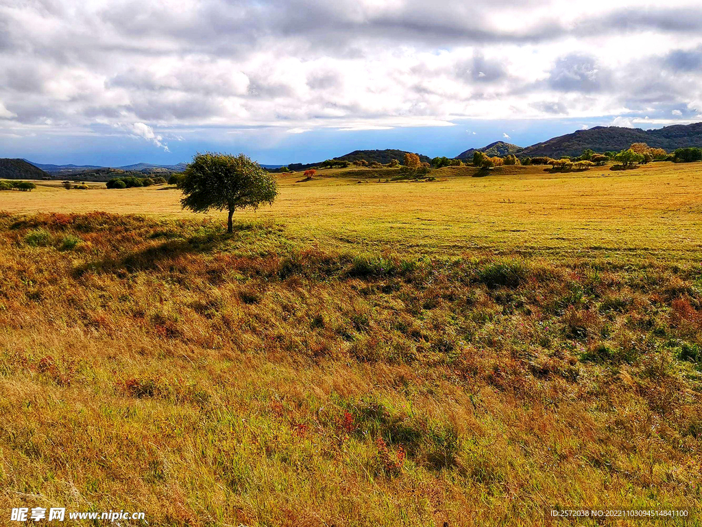 内蒙乌兰布统草原