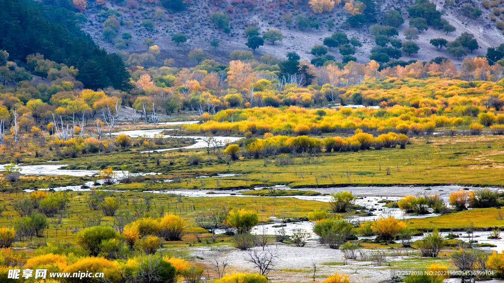 内蒙乌兰布统草原
