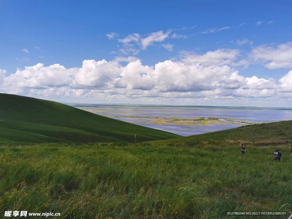 蓝天白云绿草地