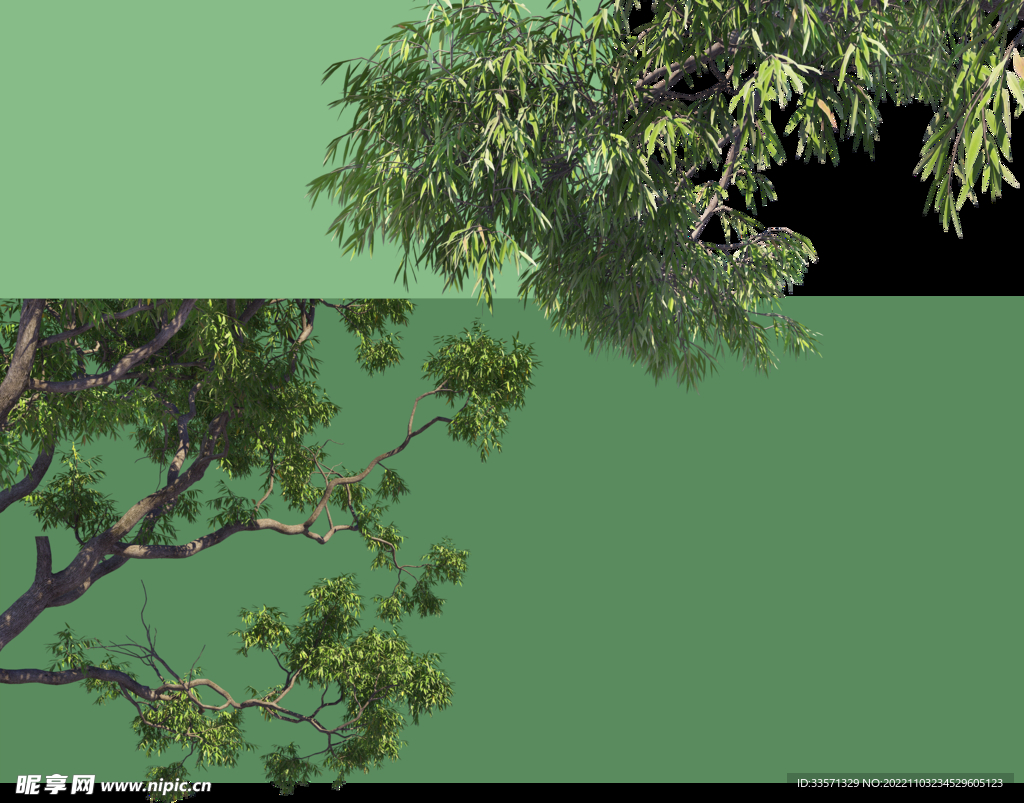 园林景观树超清免扣