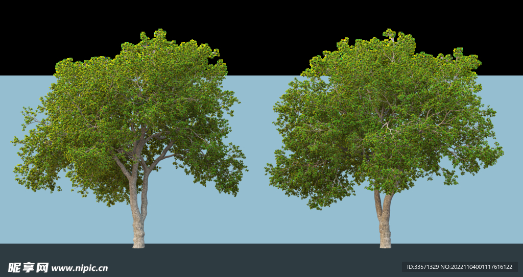 园林景观树超清免抠