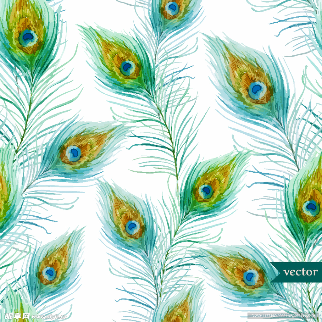 手绘油画孔雀羽毛