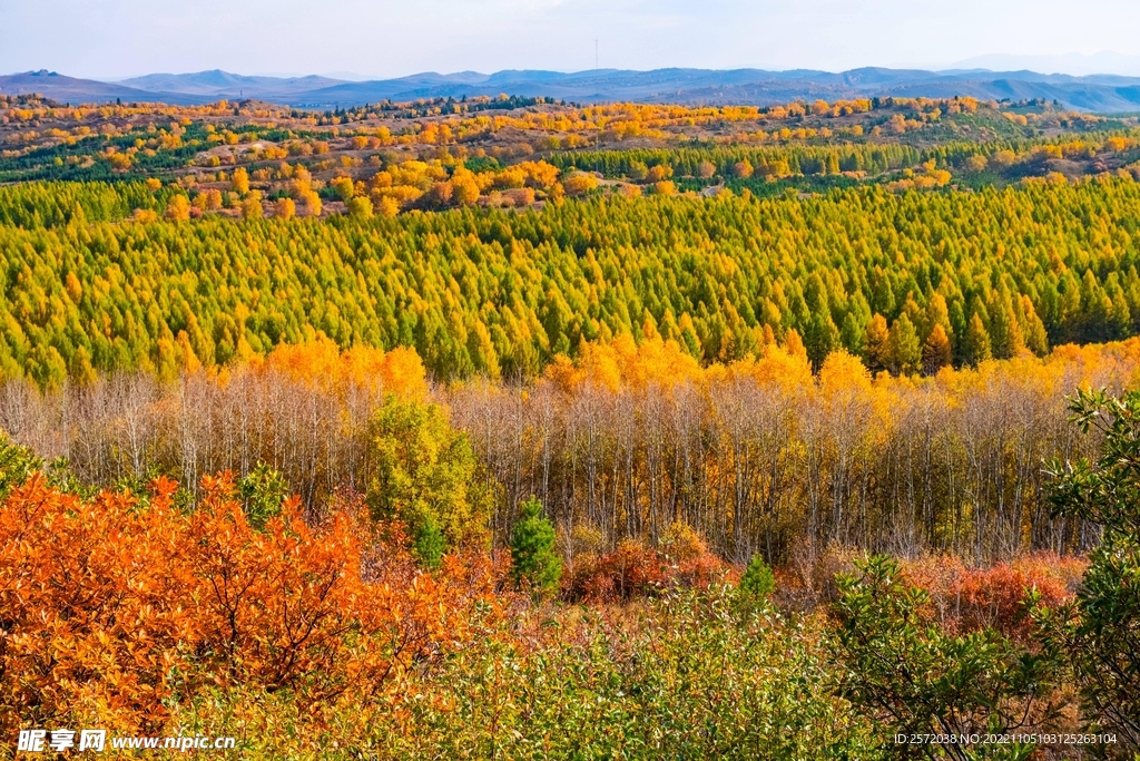 内蒙乌兰布统草原