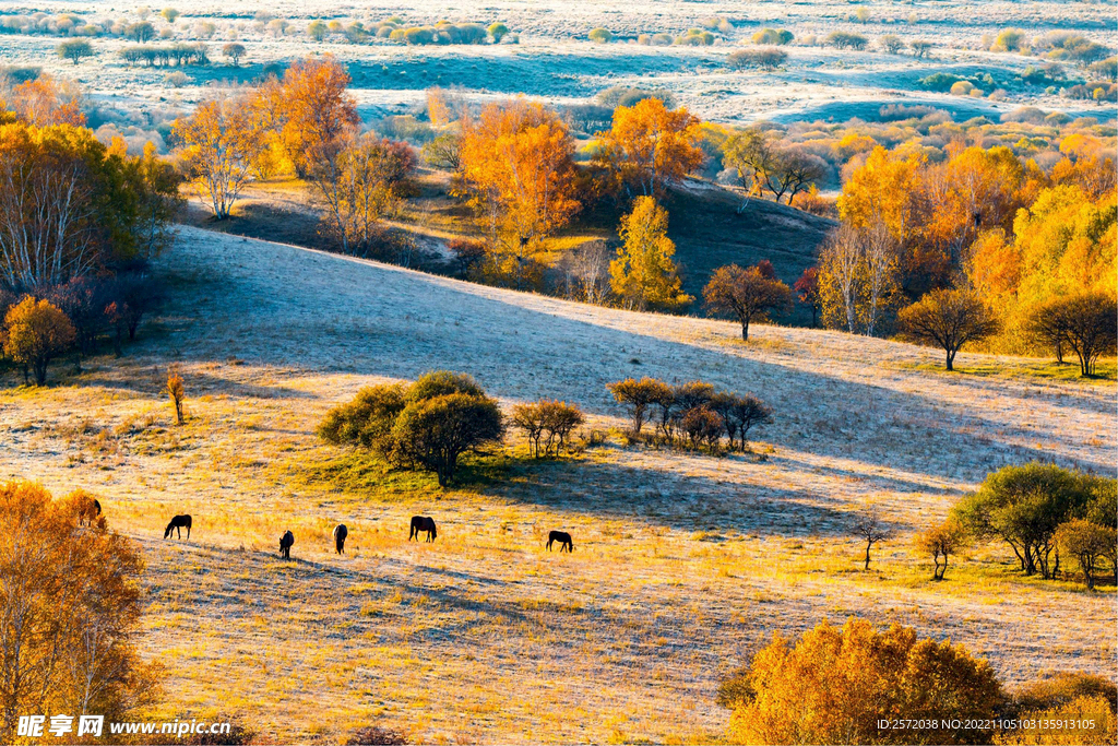 内蒙乌兰布统草原