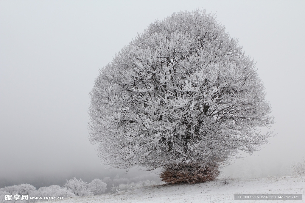 雪景             
