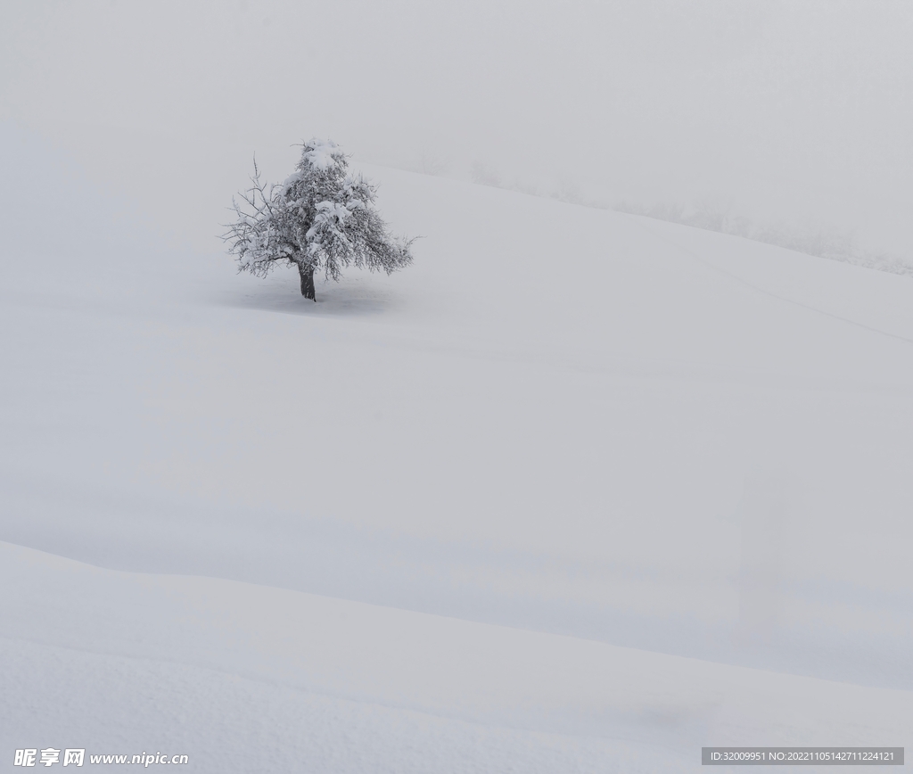 雪景             
