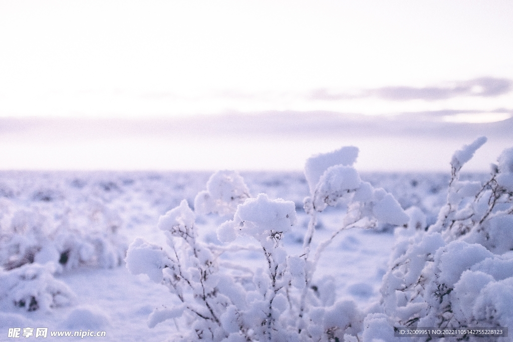雪景             