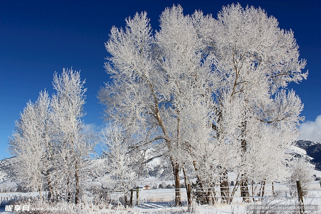 雪景             