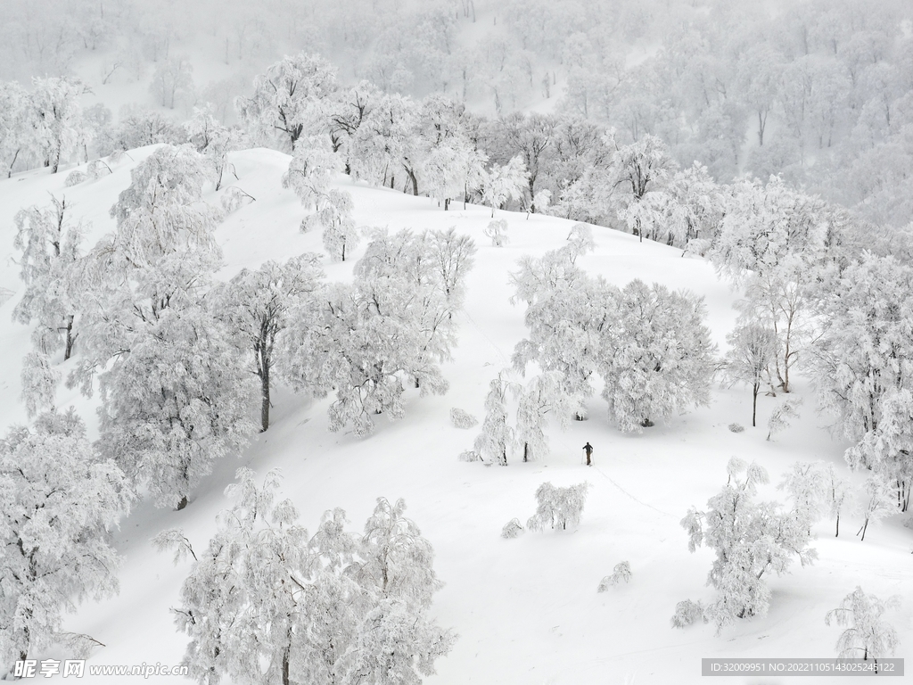 雪景             