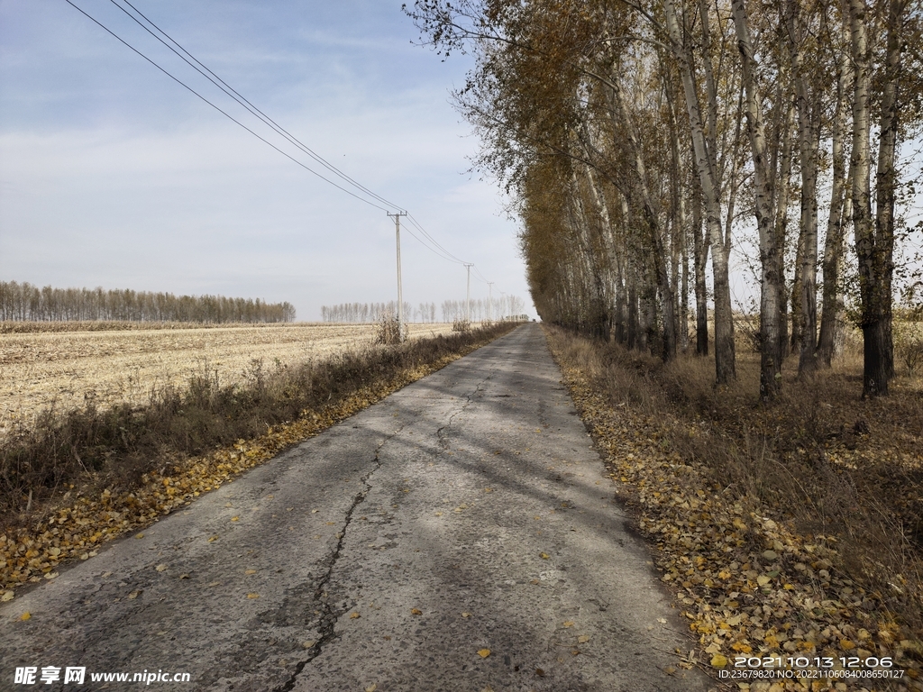 秋天乡间的水泥路