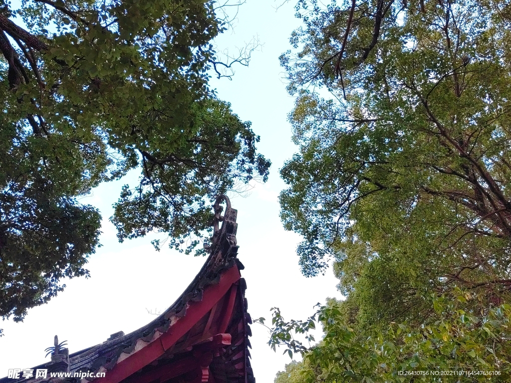 中式古建筑屋檐屋顶