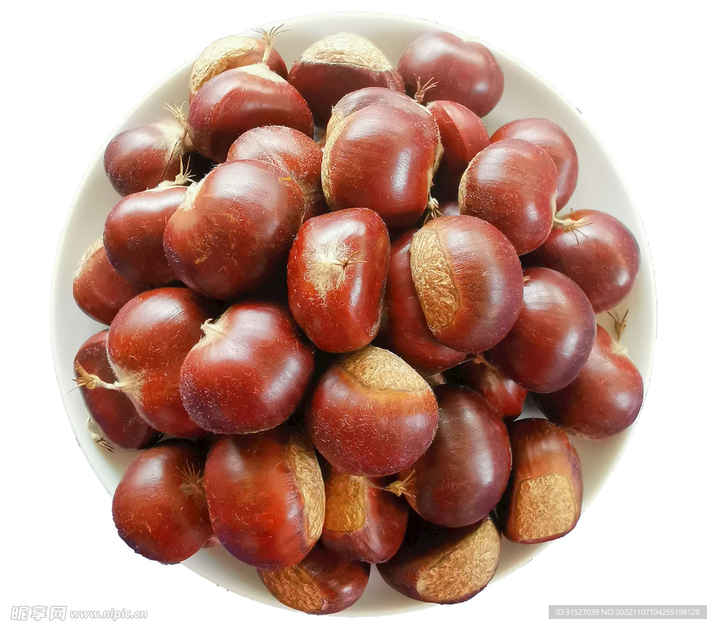 熟板栗高清大图