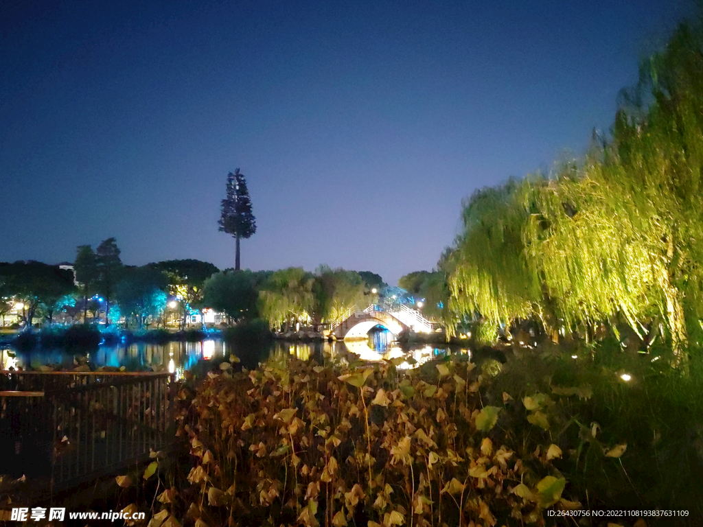荷塘石拱桥夜景
