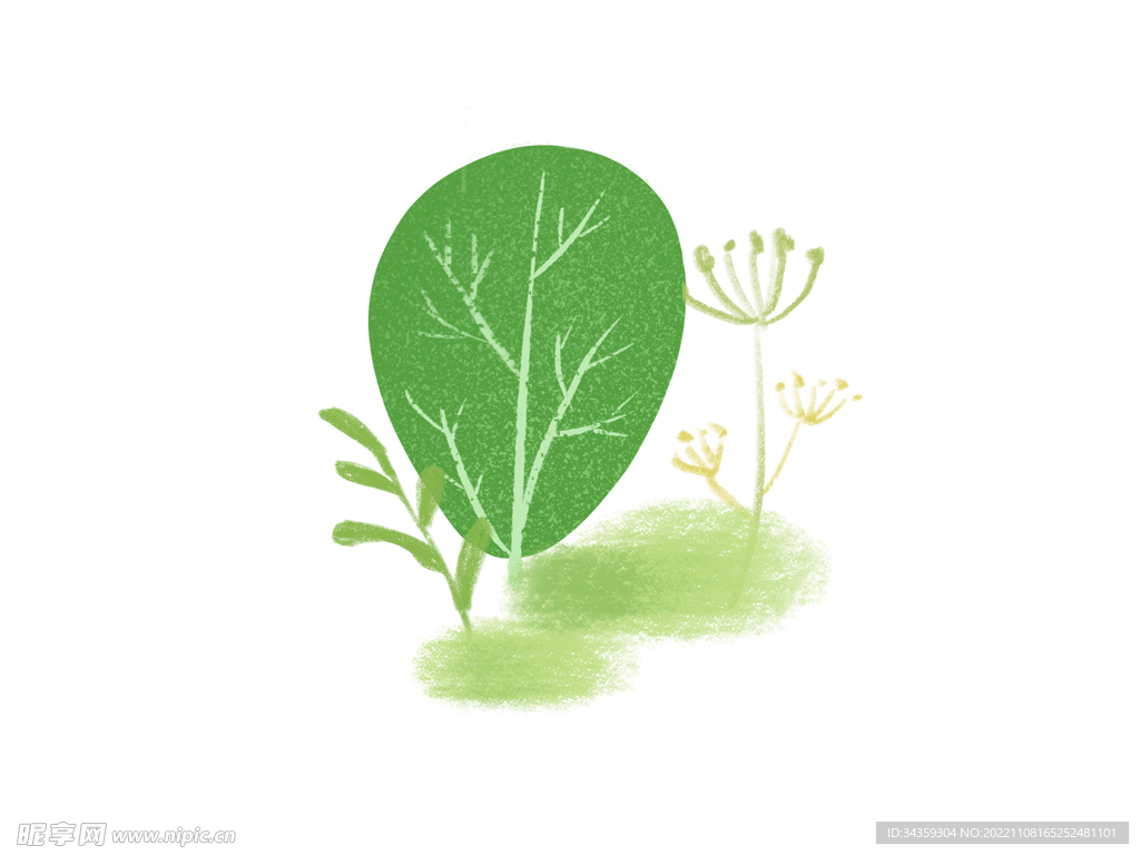 手绘绿色植物