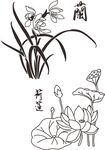 矢量兰花  荷花