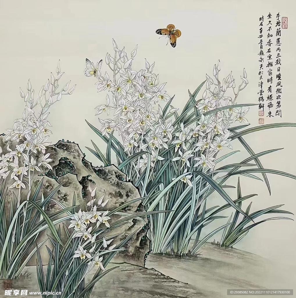 手培兰蕙两三栽