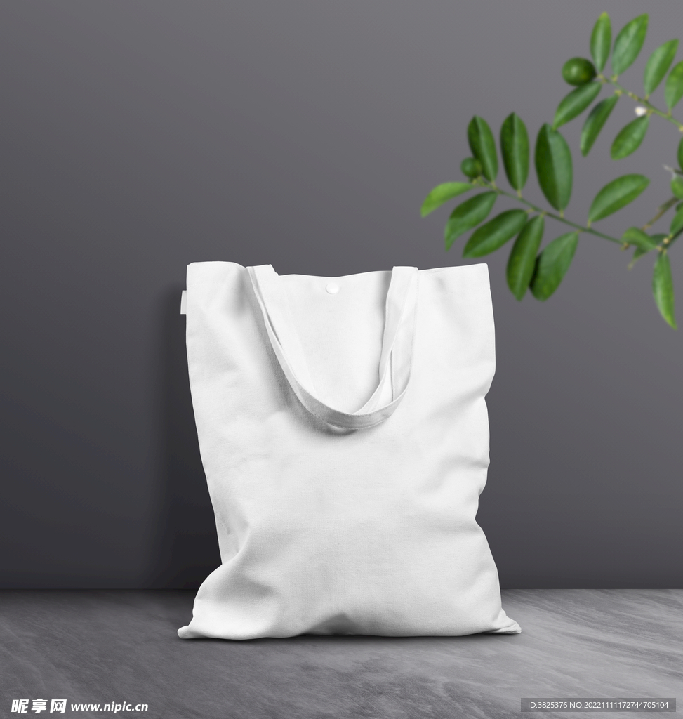 帆布袋样机模板