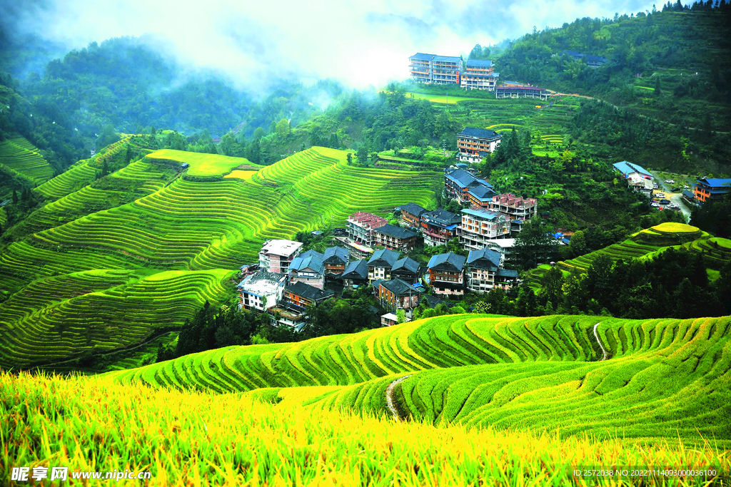 龙胜龙脊梯田风光