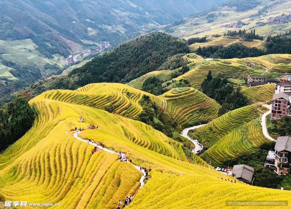 龙胜龙脊梯田风光