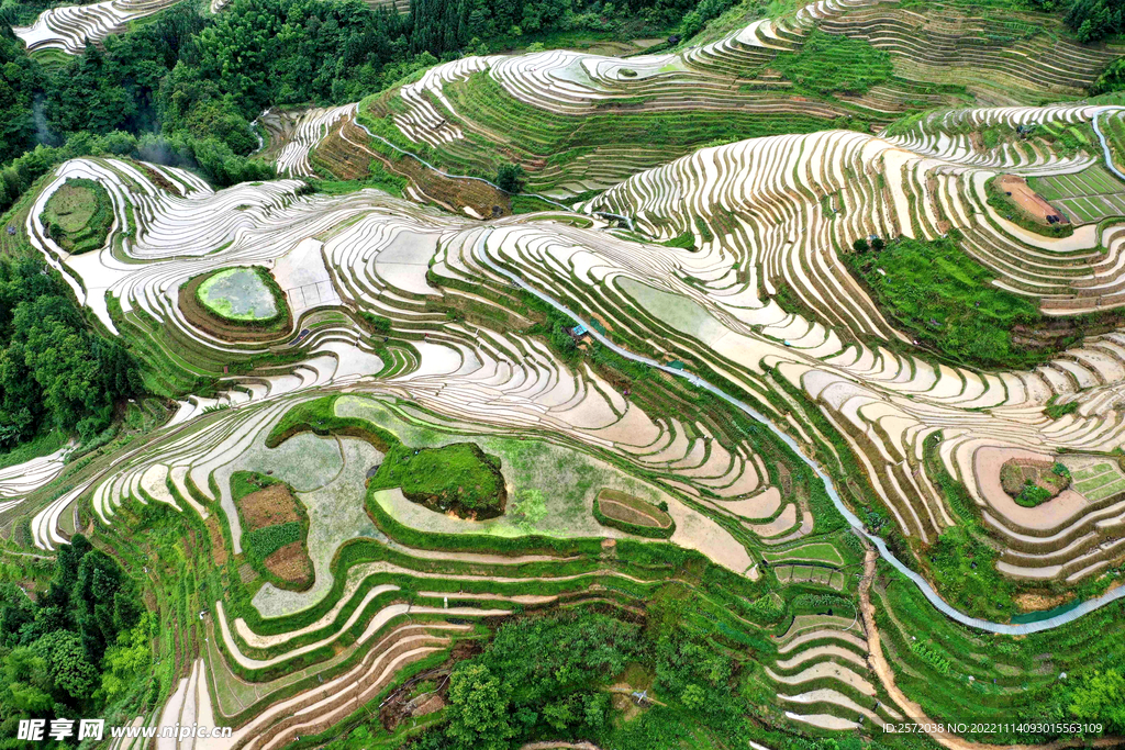 龙胜龙脊梯田风光