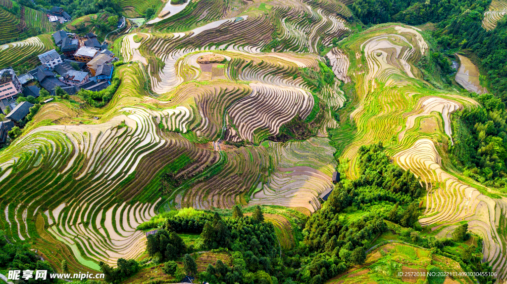龙胜龙脊梯田风光